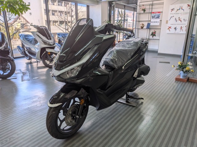 �z���_PCX�i���Q�����R�s�j�摜4