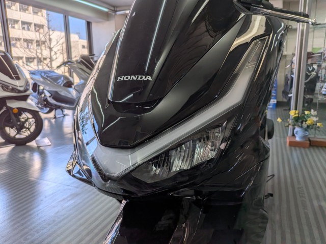 �z���_PCX�i���Q�����R�s�j�摜9