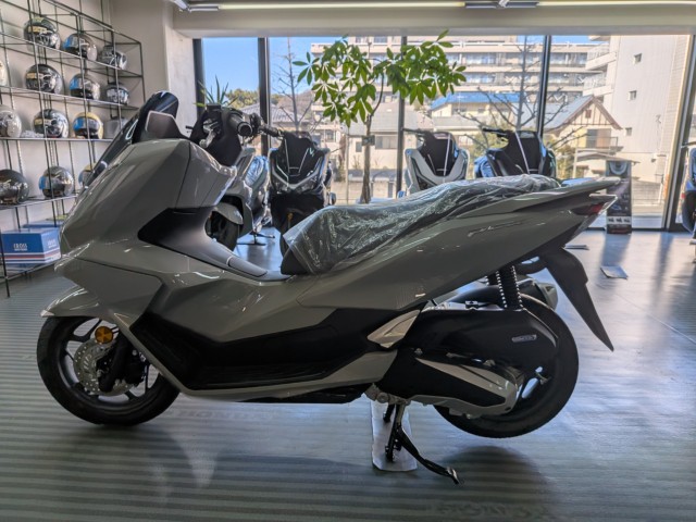 �z���_PCX�i���Q�����R�s�j�摜5