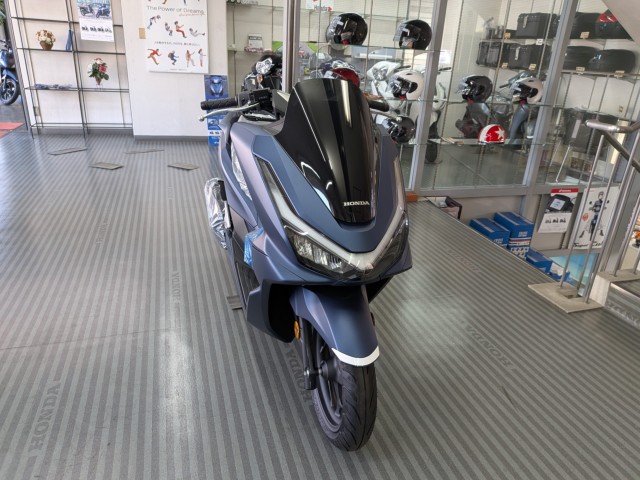 �z���_PCX�i���Q�����R�s�j�摜3