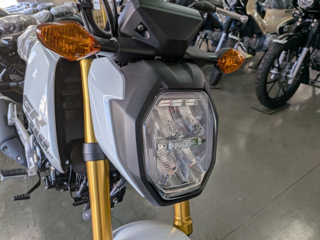 �z���_�O�����i���Q�����R�s�j�摜9