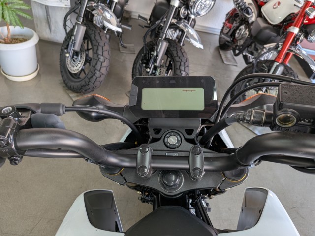 �z���_�O�����i���Q�����R�s�j�摜11