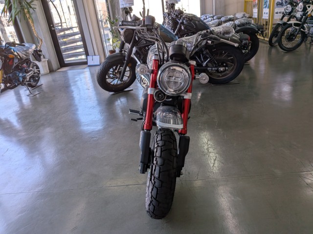 �z���_�����L�[125�i���Q�����R�s�j�摜3