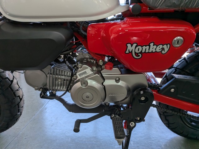 �z���_�����L�[125�i���Q�����R�s�j�摜19