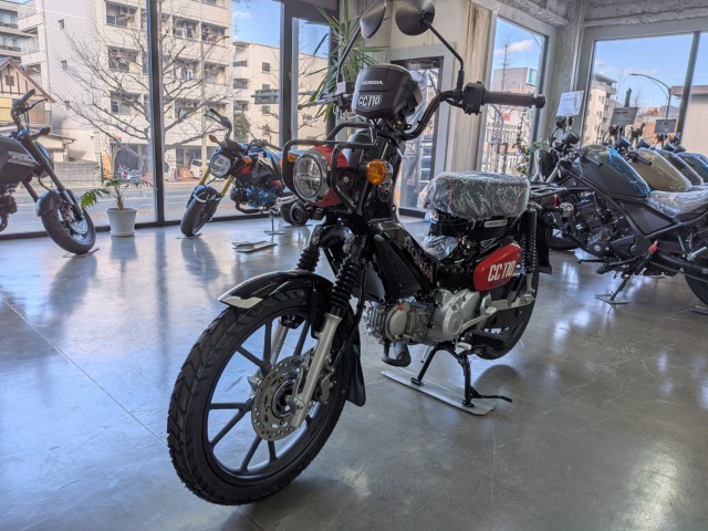 �z���_�N���X�J�u110�i���Q�����R�s�j�摜4