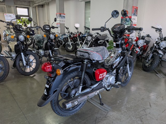 �z���_�N���X�J�u110�i���Q�����R�s�j�摜8