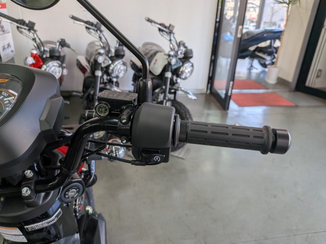 �z���_�N���X�J�u110�i���Q�����R�s�j�摜13