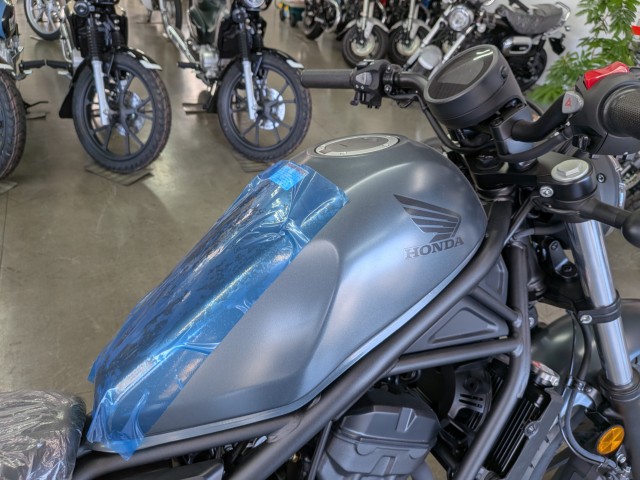 �z���_���u��250�i���Q�����R�s�j�摜14