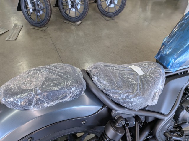 �z���_���u��250�i���Q�����R�s�j�摜15