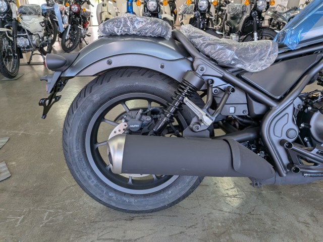 �z���_���u��250�i���Q�����R�s�j�摜17