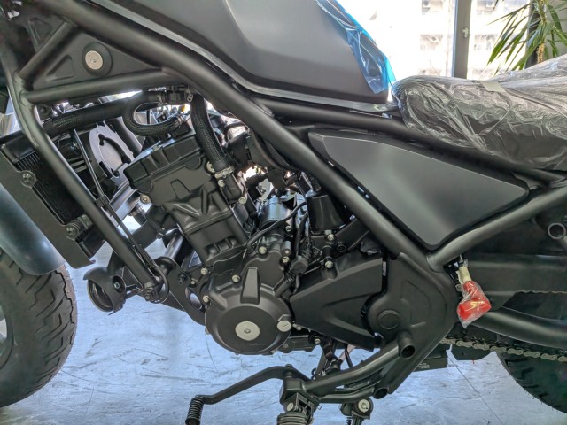 �z���_���u��250�i���Q�����R�s�j�摜19