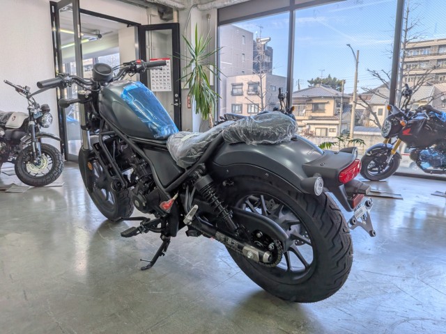 �z���_���u��250�i���Q�����R�s�j�摜6