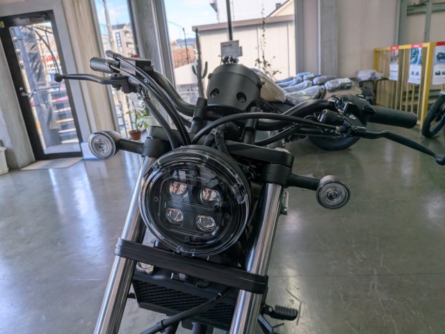 �z���_���u��250�i���Q�����R�s�j�摜9