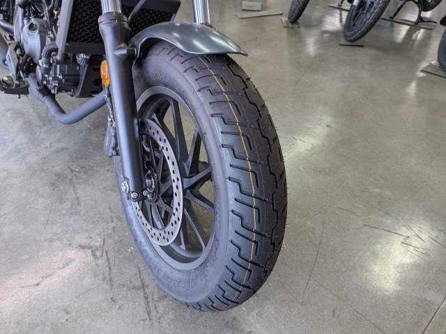 �z���_���u��250�i���Q�����R�s�j�摜10