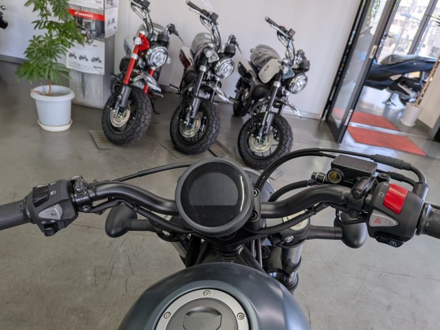 �z���_���u��250�i���Q�����R�s�j�摜11