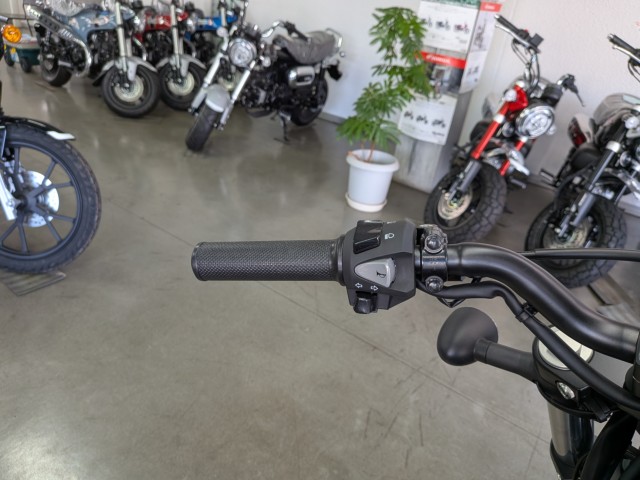 �z���_���u��250�i���Q�����R�s�j�摜12