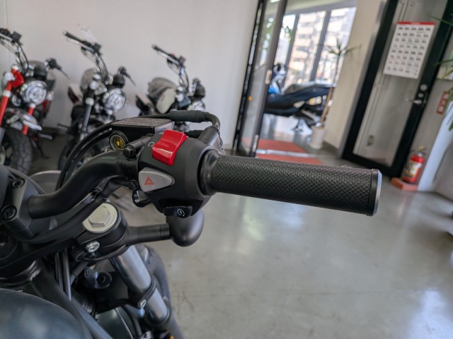 �z���_���u��250�i���Q�����R�s�j�摜13