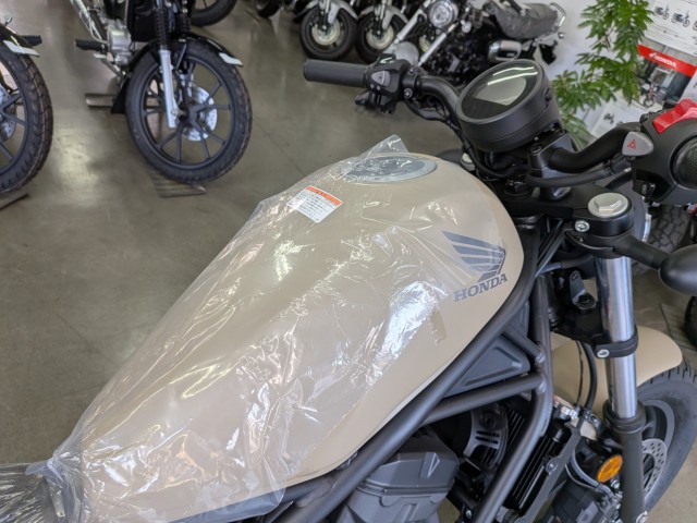 �z���_���u��250�i���Q�����R�s�j�摜14