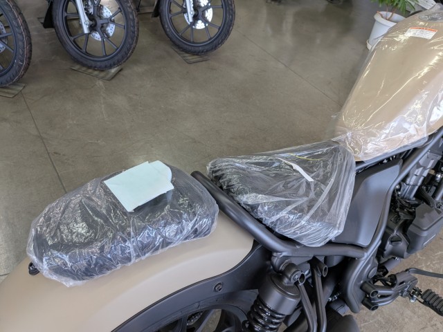 �z���_���u��250�i���Q�����R�s�j�摜15