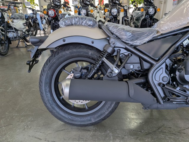 �z���_���u��250�i���Q�����R�s�j�摜17