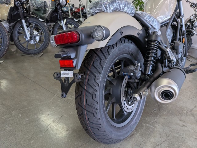 �z���_���u��250�i���Q�����R�s�j�摜18