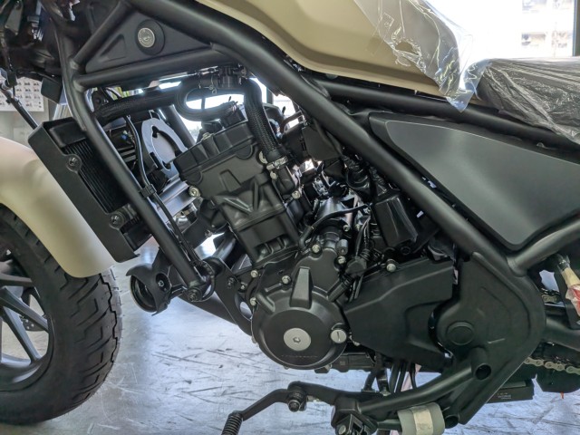 �z���_���u��250�i���Q�����R�s�j�摜19