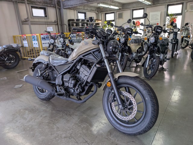 �z���_���u��250�i���Q�����R�s�j�摜2