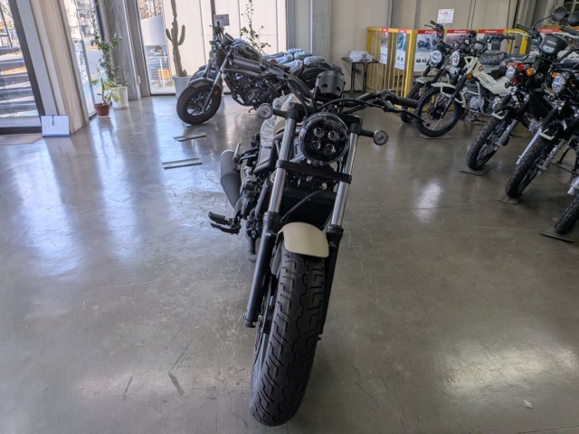 �z���_���u��250�i���Q�����R�s�j�摜3