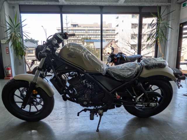 �z���_���u��250�i���Q�����R�s�j�摜5