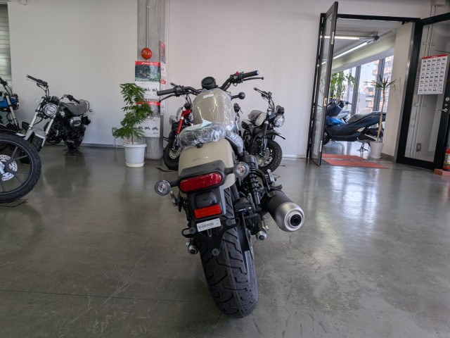 �z���_���u��250�i���Q�����R�s�j�摜7