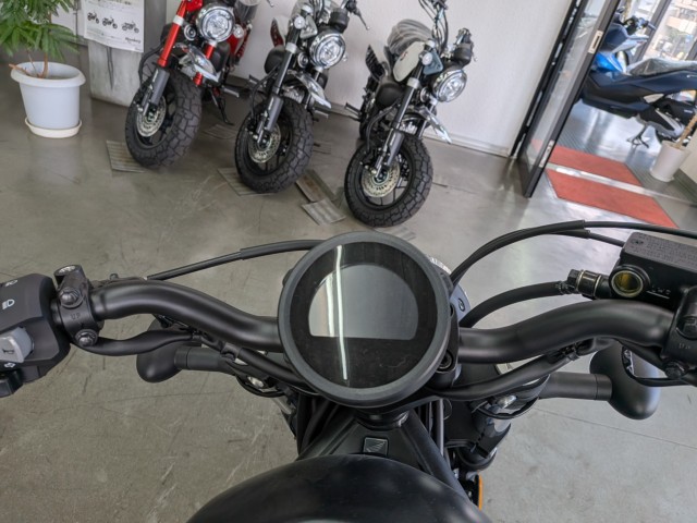 �z���_���u��250�i���Q�����R�s�j�摜11