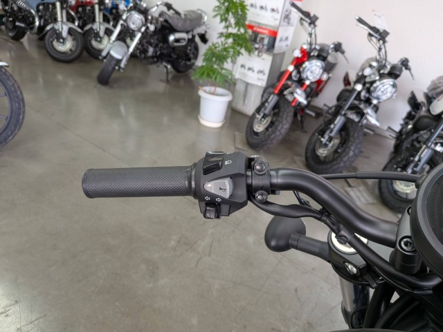 �z���_���u��250�i���Q�����R�s�j�摜12