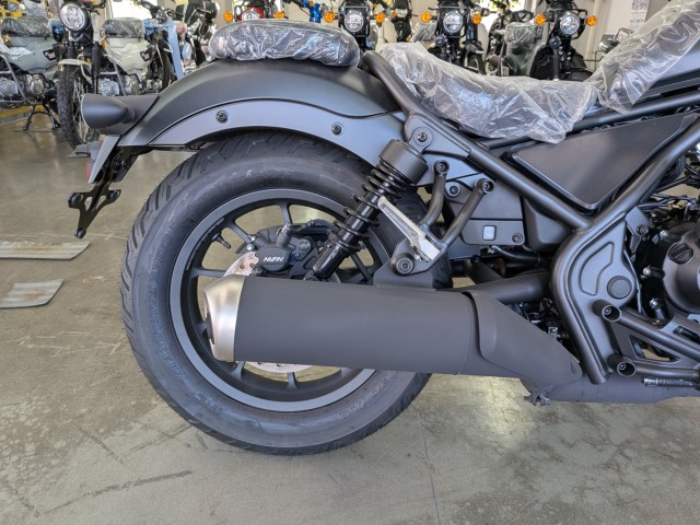 �z���_���u��250�i���Q�����R�s�j�摜17