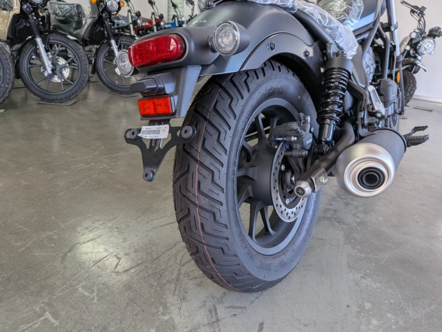 �z���_���u��250�i���Q�����R�s�j�摜18