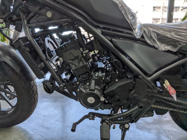 �z���_���u��250�i���Q�����R�s�j�摜19