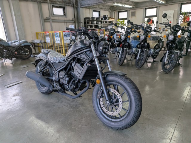 �z���_���u��250�i���Q�����R�s�j�摜2