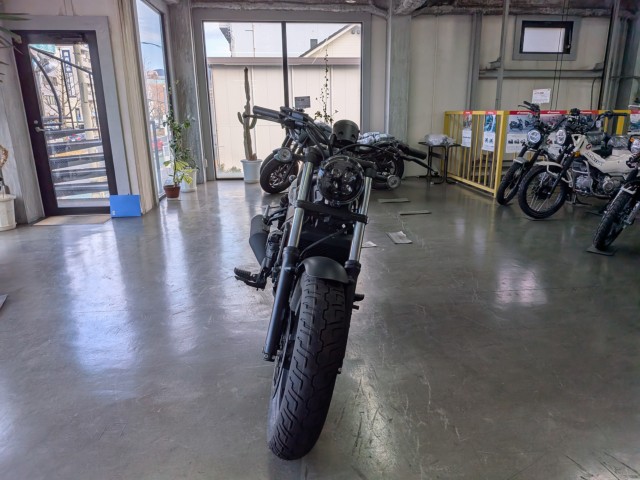 �z���_���u��250�i���Q�����R�s�j�摜3