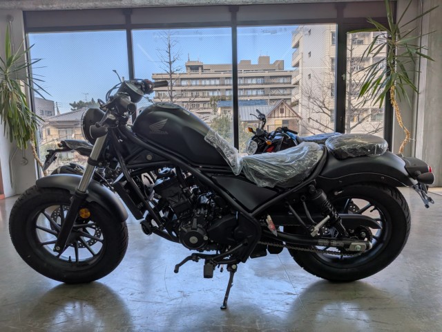 �z���_���u��250�i���Q�����R�s�j�摜5