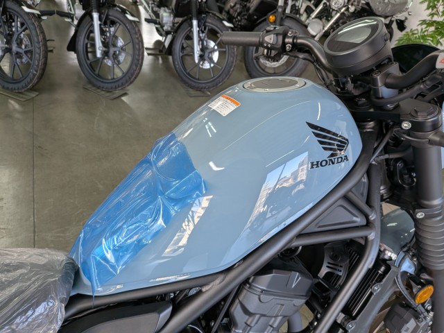 �z���_���u��250�i���Q�����R�s�j�摜14