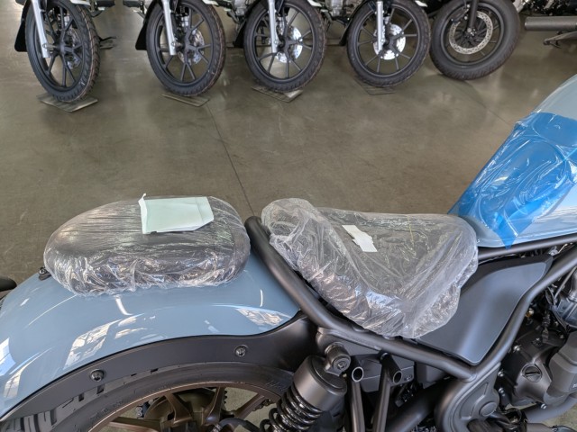 �z���_���u��250�i���Q�����R�s�j�摜15