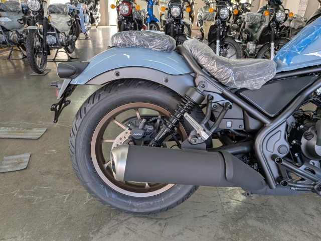 �z���_���u��250�i���Q�����R�s�j�摜17