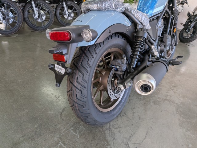 �z���_���u��250�i���Q�����R�s�j�摜18