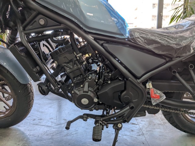 �z���_���u��250�i���Q�����R�s�j�摜19