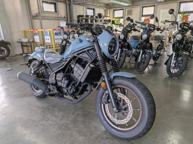 �z���_���u��250�i���Q�����R�s�j�摜2