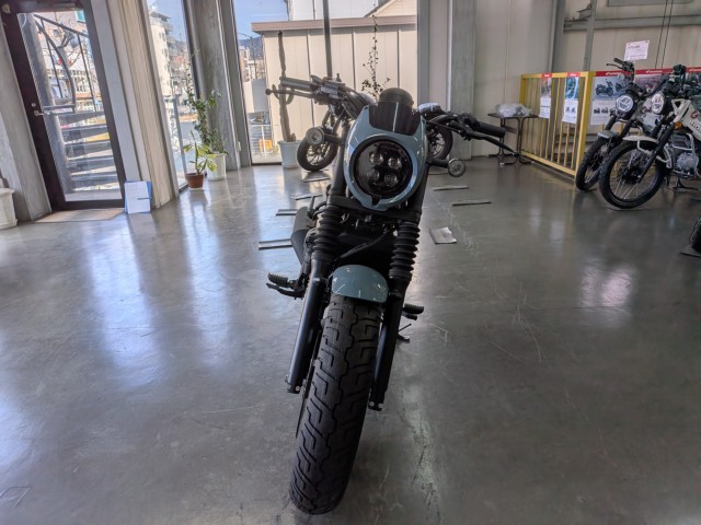 �z���_���u��250�i���Q�����R�s�j�摜3