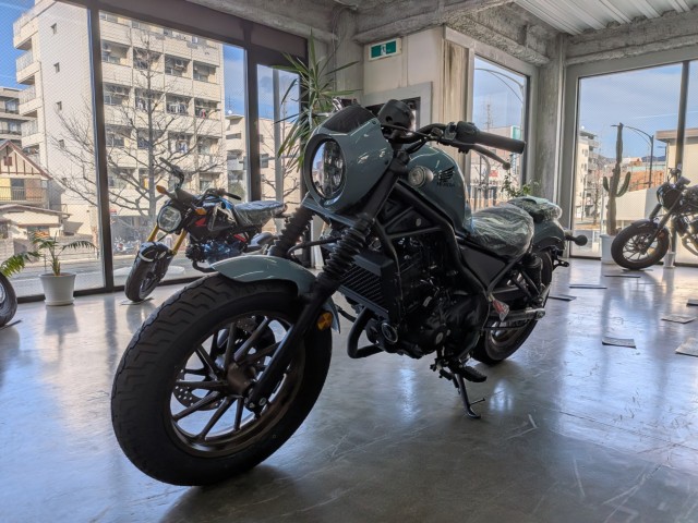 �z���_���u��250�i���Q�����R�s�j�摜4