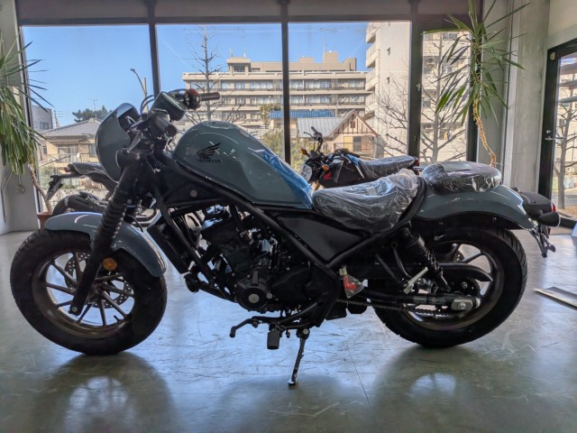 �z���_���u��250�i���Q�����R�s�j�摜5