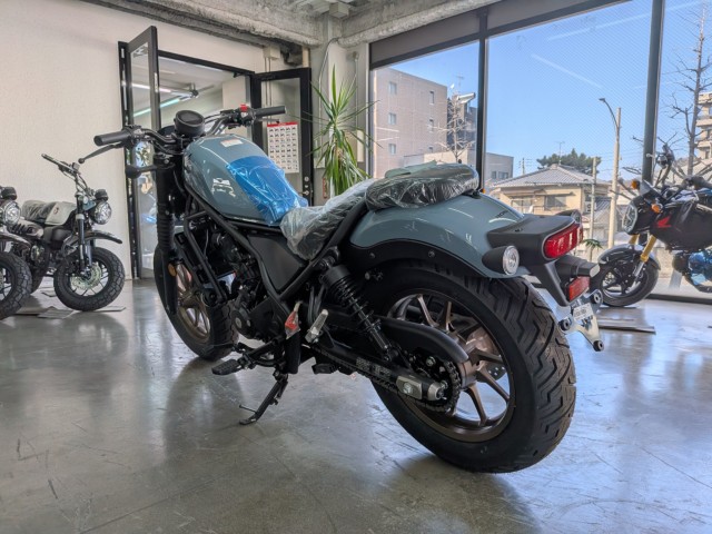 �z���_���u��250�i���Q�����R�s�j�摜6