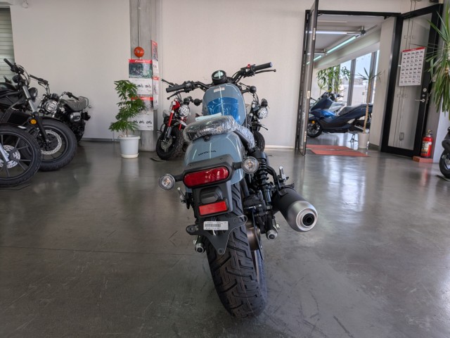 �z���_���u��250�i���Q�����R�s�j�摜7