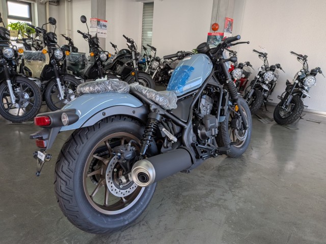 �z���_���u��250�i���Q�����R�s�j�摜8